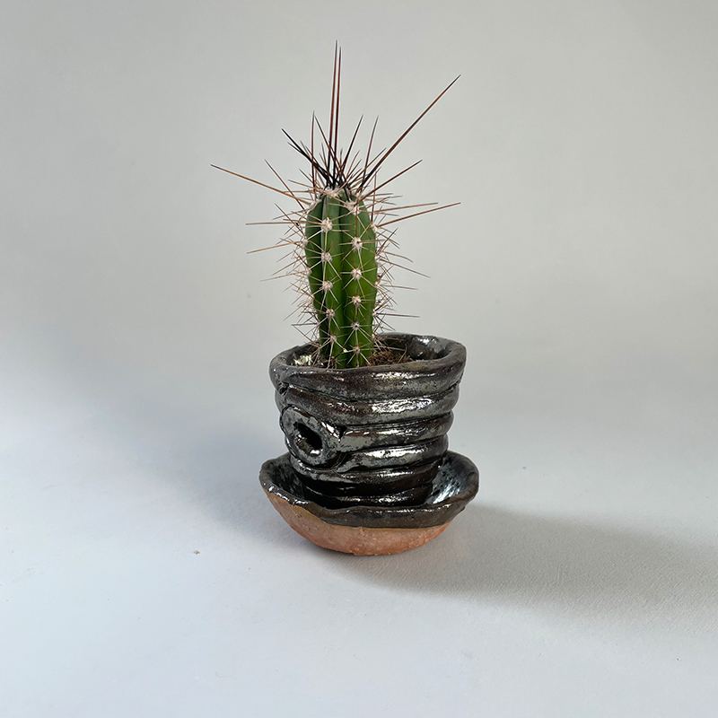 mini potje met cactus